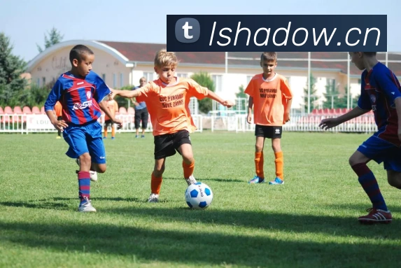 多媒体互动体验