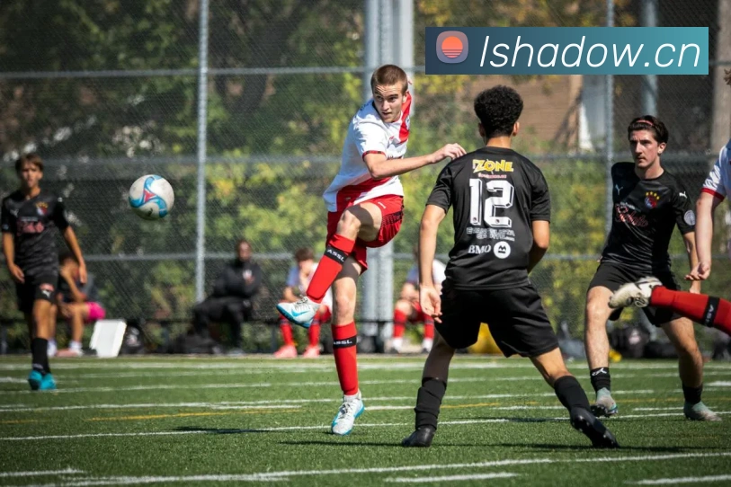 开云官网APP 高清赛事图